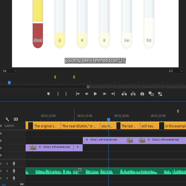 A screenshot of a timeline and preview window in Adobe Premiere Pro